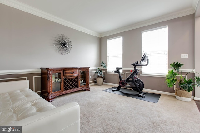 exercise room featuring carpet floors, baseboards, and ornamental molding