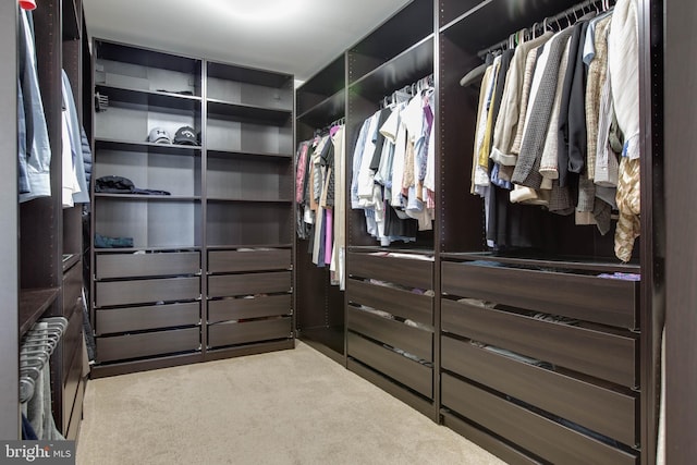 spacious closet with carpet and radiator