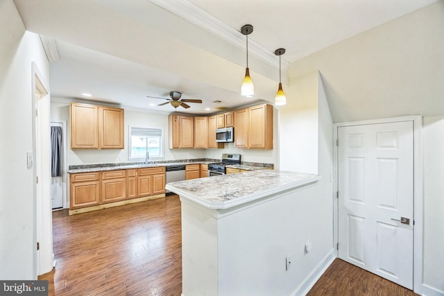 kitchen with a peninsula, appliances with stainless steel finishes, a sink, and wood finished floors