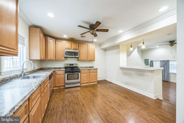 kitchen featuring dark wood-style flooring, a sink, a ceiling fan, ornamental molding, and appliances with stainless steel finishes