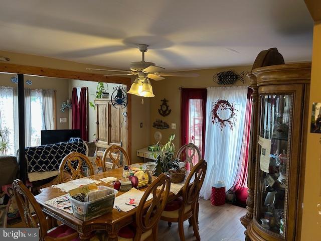 dining area featuring ceiling fan and wood finished floors