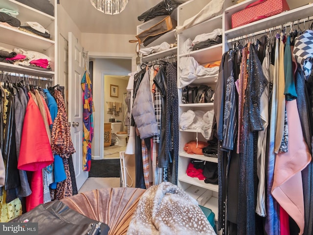 view of spacious closet