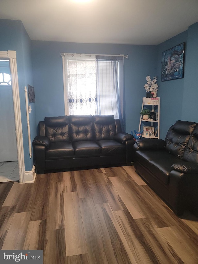 living room featuring wood finished floors