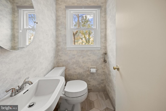 bathroom featuring toilet, plenty of natural light, and a sink