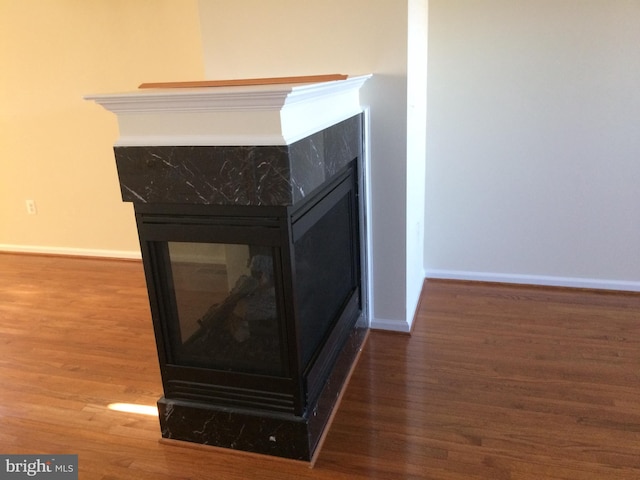 room details featuring a premium fireplace, wood finished floors, and baseboards