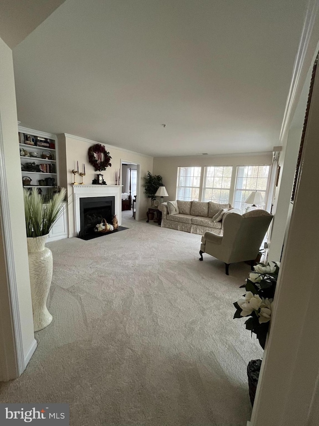 living room with crown molding, carpet flooring, and a fireplace with flush hearth