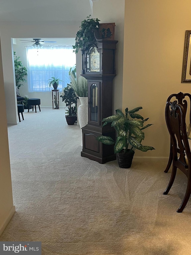 hallway with carpet floors