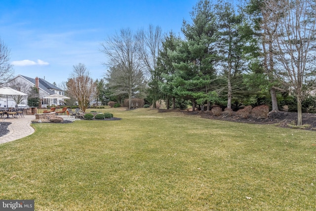 view of yard featuring a patio area