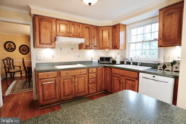 kitchen with tasteful backsplash, dark wood finished floors, white dishwasher, under cabinet range hood, and a sink