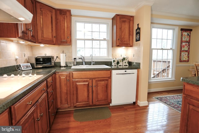 kitchen with dishwasher, ornamental molding, dark wood-type flooring, extractor fan, and a sink