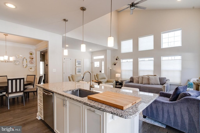 kitchen with light stone counters, a kitchen island with sink, a sink, open floor plan, and dark wood finished floors