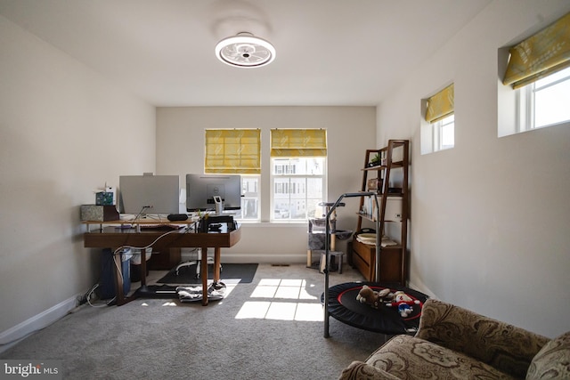 office featuring carpet floors, baseboards, and a wealth of natural light