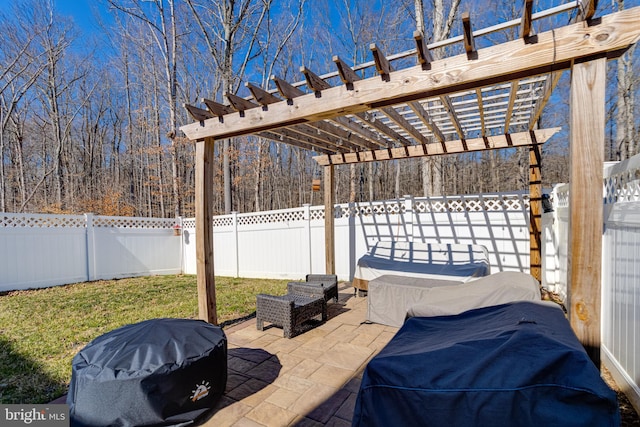 view of patio / terrace with a fenced backyard, area for grilling, and a pergola