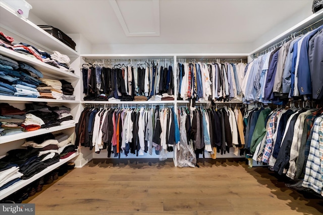 spacious closet featuring wood finished floors and attic access