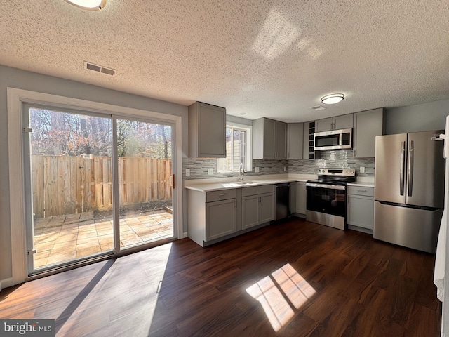 kitchen featuring appliances with stainless steel finishes, gray cabinets, visible vents, and a sink