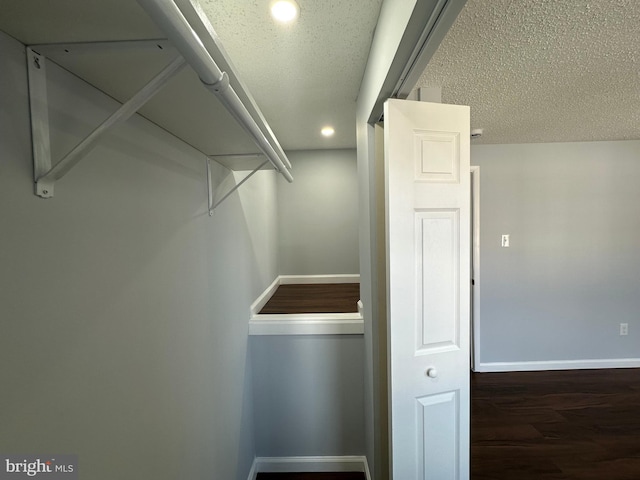 walk in closet featuring wood finished floors