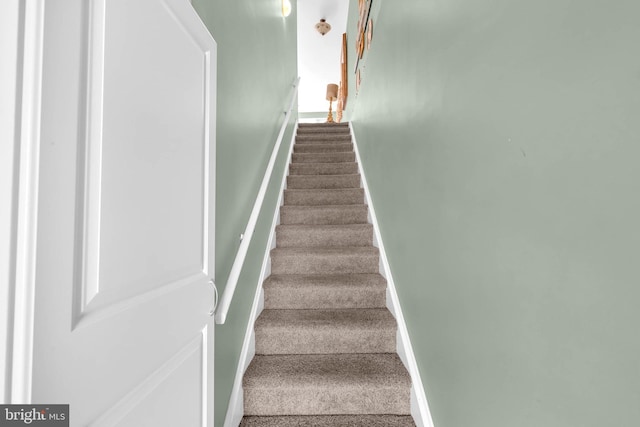 stairway with carpet flooring and baseboards