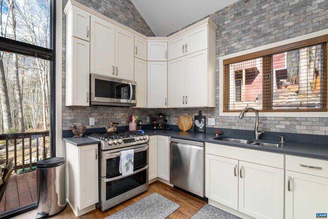 kitchen featuring stainless steel appliances, dark countertops, a sink, and a healthy amount of sunlight