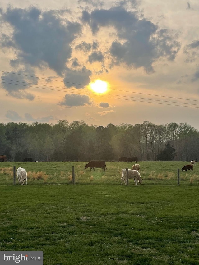 view of yard with a rural view