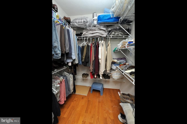 spacious closet featuring wood finished floors