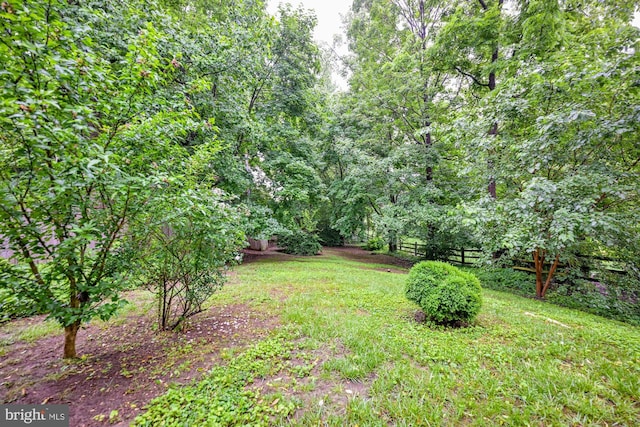 622 Hastings Rd, Baltimore, MD 21286 - view of yard
