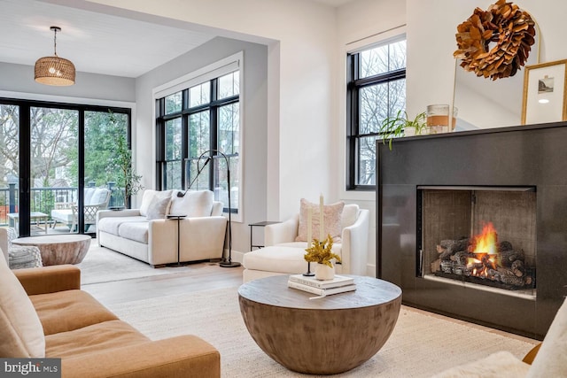 interior space featuring a lit fireplace and wood finished floors