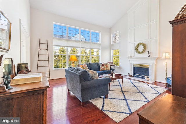 living room with wood finished floors, a fireplace, baseboards, and high vaulted ceiling