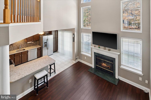 kitchen with a sink, dark wood-type flooring, a healthy amount of sunlight, and stainless steel appliances