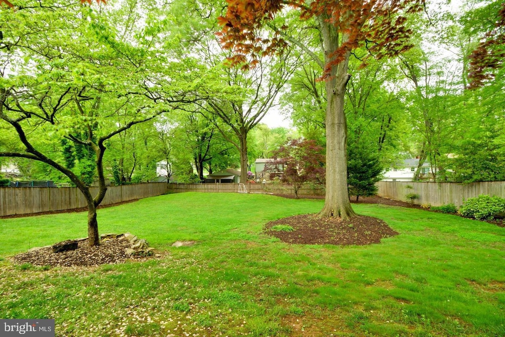 view of yard with a fenced backyard