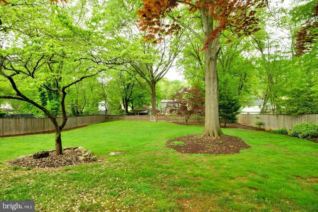 view of yard with a fenced backyard