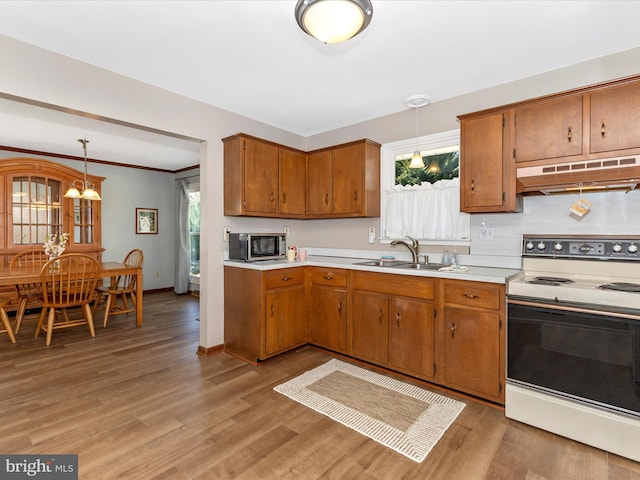 kitchen featuring brown cabinetry, stainless steel microwave, light countertops, under cabinet range hood, and range with electric stovetop