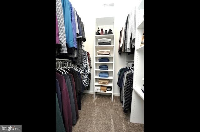 spacious closet with carpet flooring and visible vents