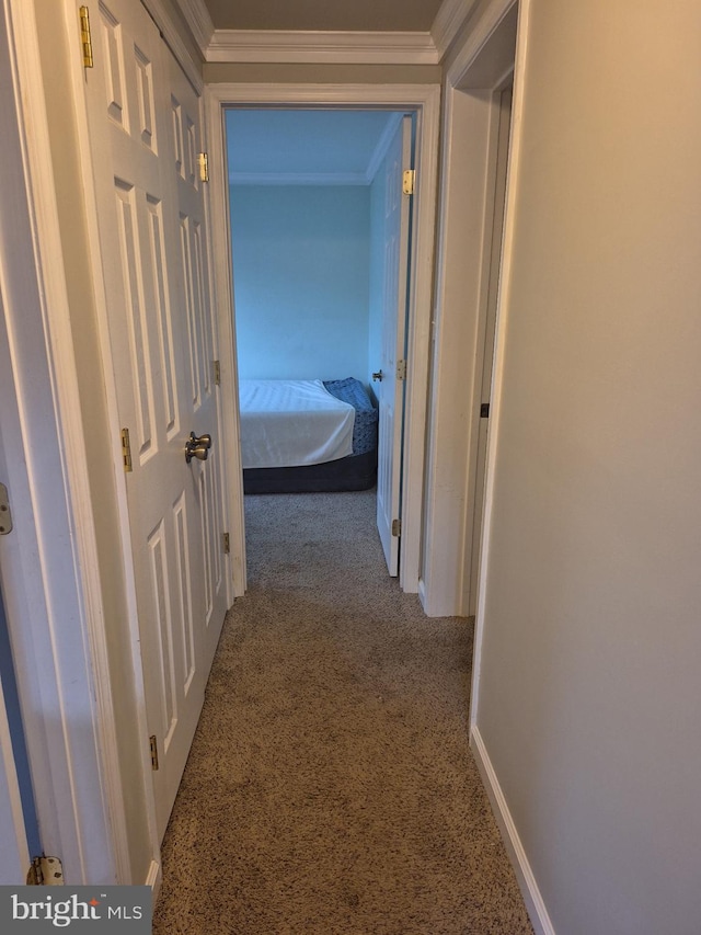 hall with carpet, baseboards, and crown molding