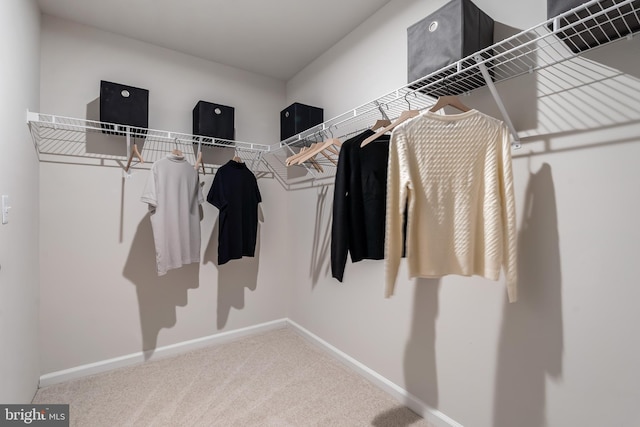 spacious closet featuring carpet floors