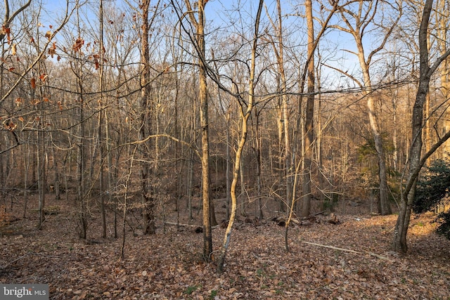 view of landscape featuring a wooded view