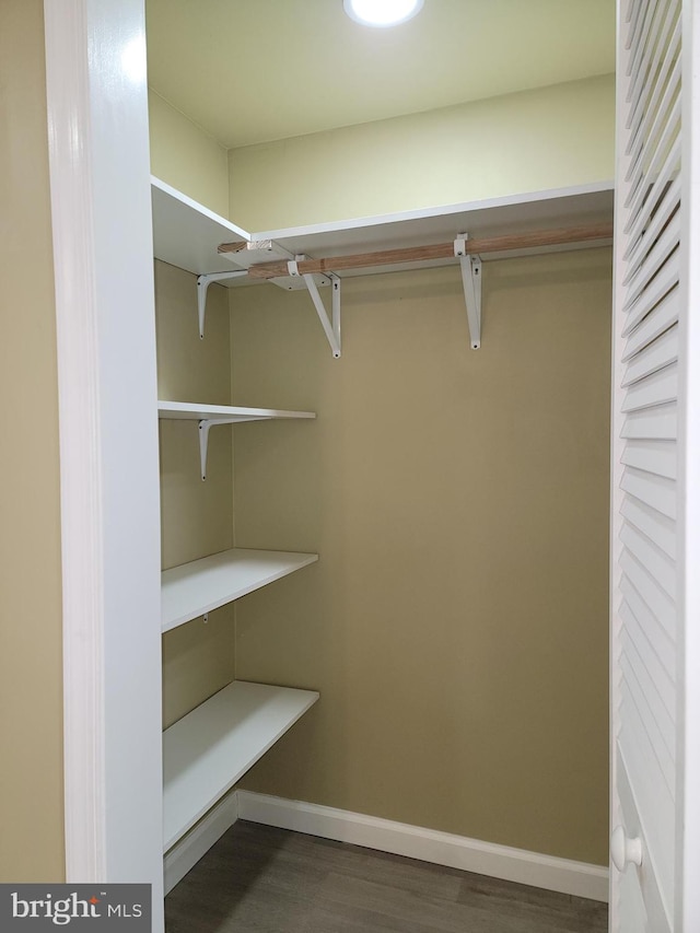 walk in closet with dark wood-type flooring