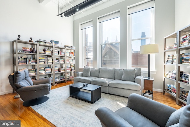 living room with rail lighting, plenty of natural light, wood finished floors, and baseboards