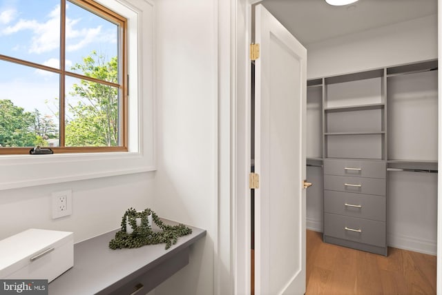 spacious closet with light wood-type flooring