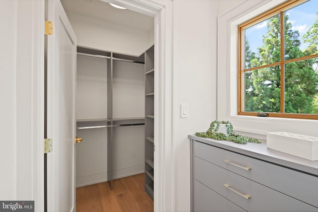 walk in closet featuring wood finished floors