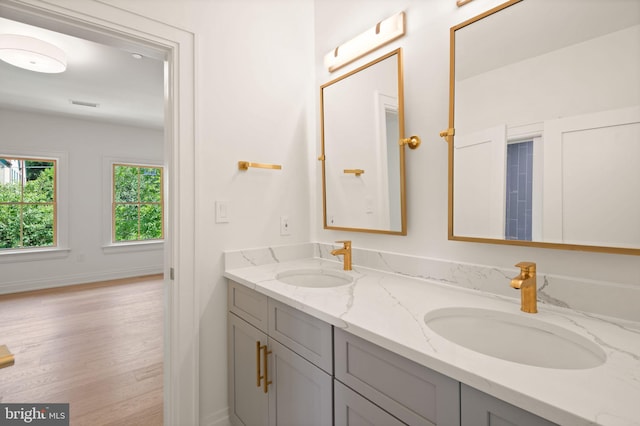 bathroom featuring wood finished floors, a sink, baseboards, and double vanity