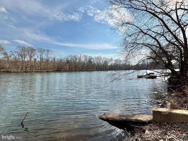 property view of water