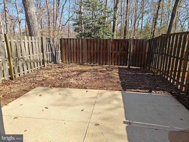 view of yard featuring a patio and a fenced backyard