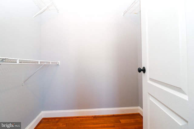 spacious closet featuring wood finished floors