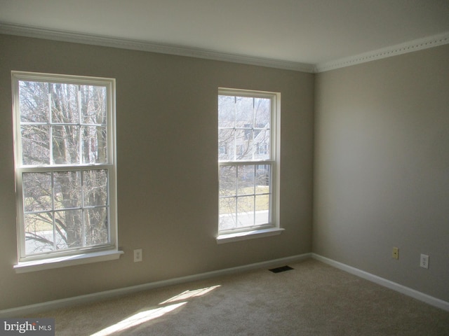 empty room with carpet, plenty of natural light, visible vents, and baseboards