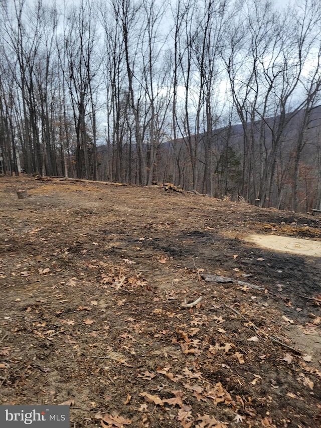 LOT20 Otter Creek Dr, Gerrardstown WV, 25420 land for sale