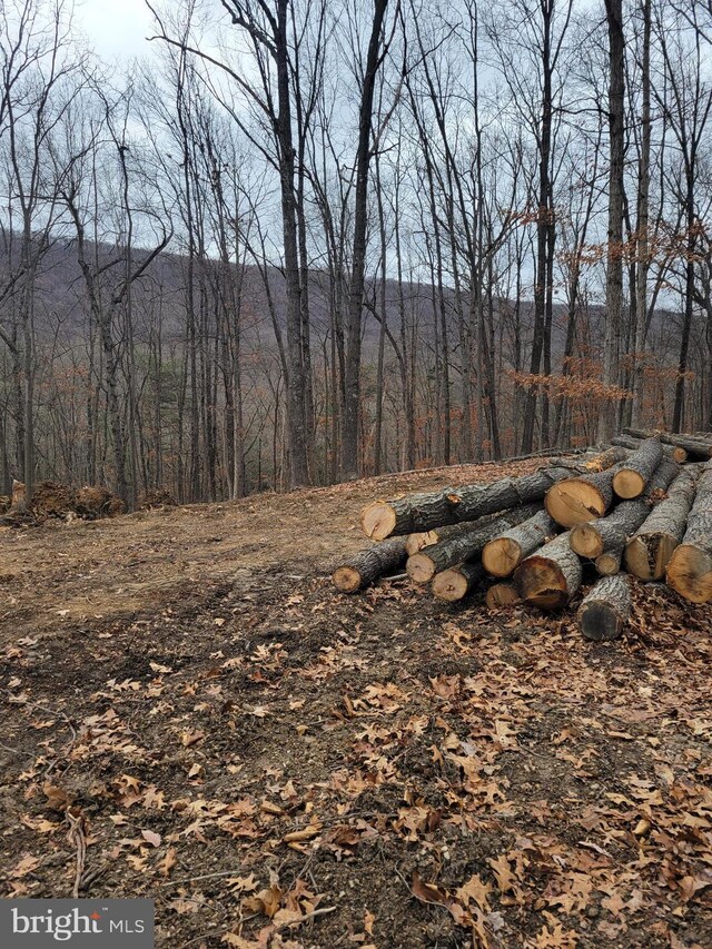 LOT20 Otter Creek Dr, Gerrardstown, WV 25420