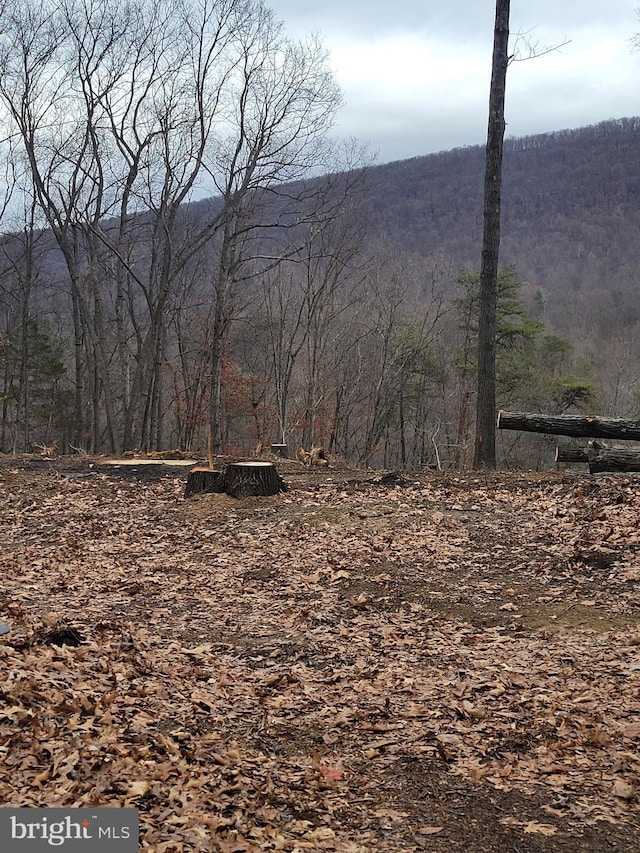 LOT20 Otter Creek Dr, Gerrardstown, WV 25420