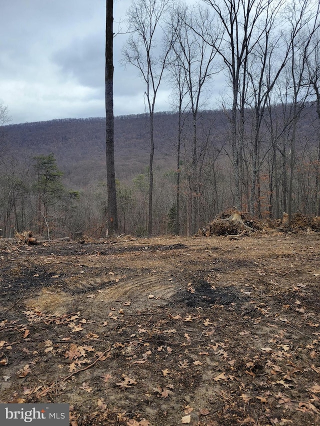 Listing photo 2 for LOT20 Otter Creek Dr, Gerrardstown WV 25420