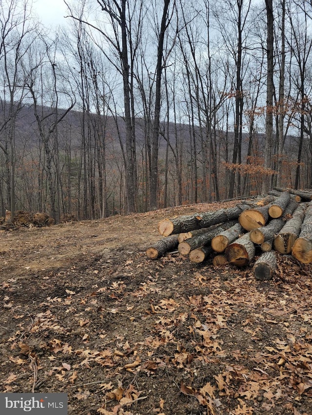 LOT20 Otter Creek Dr, Gerrardstown, WV 25420