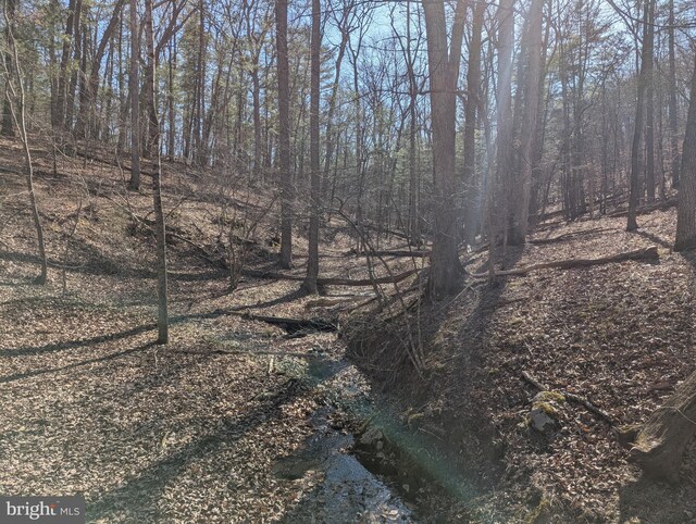 LOT20 Otter Creek Dr, Gerrardstown, WV 25420